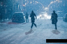 Фабрика (2011)