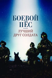 «Питер Пэн» пошел не так (2016) 
