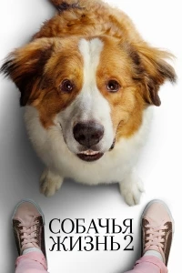 Феномен «Бумажного дома» (2020)