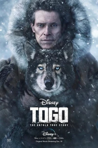 Самый обычный роман (2019)
