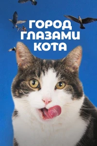 Диего Марадона (2019)