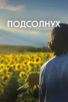 Подсолнух (2023) 