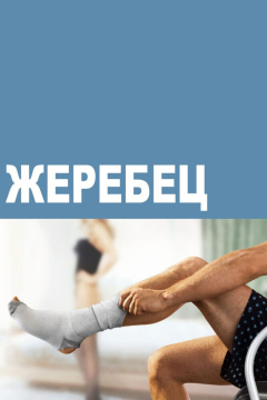 Жеребец (3 сезон) 