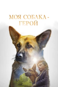 Воздушная гимнастка (2020)