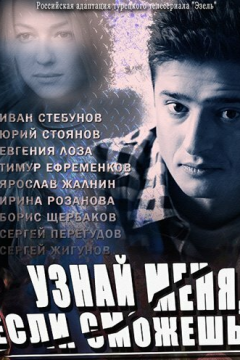 Узнай меня, если сможешь (1 сезон) 